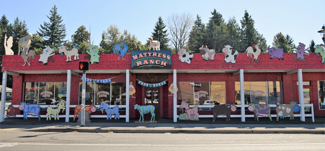 a red building with a bunch of stuffed animals on top of it