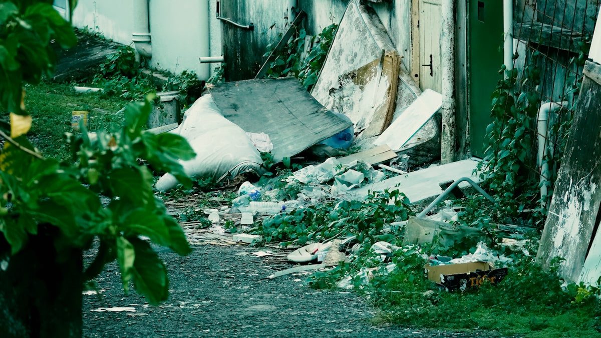 Debris and overgrown plants in a neglected outdoor area.