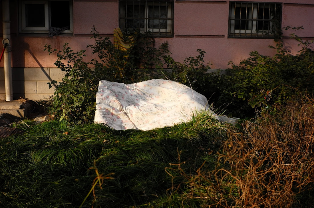 Large white rock sits among overgrown green plants.